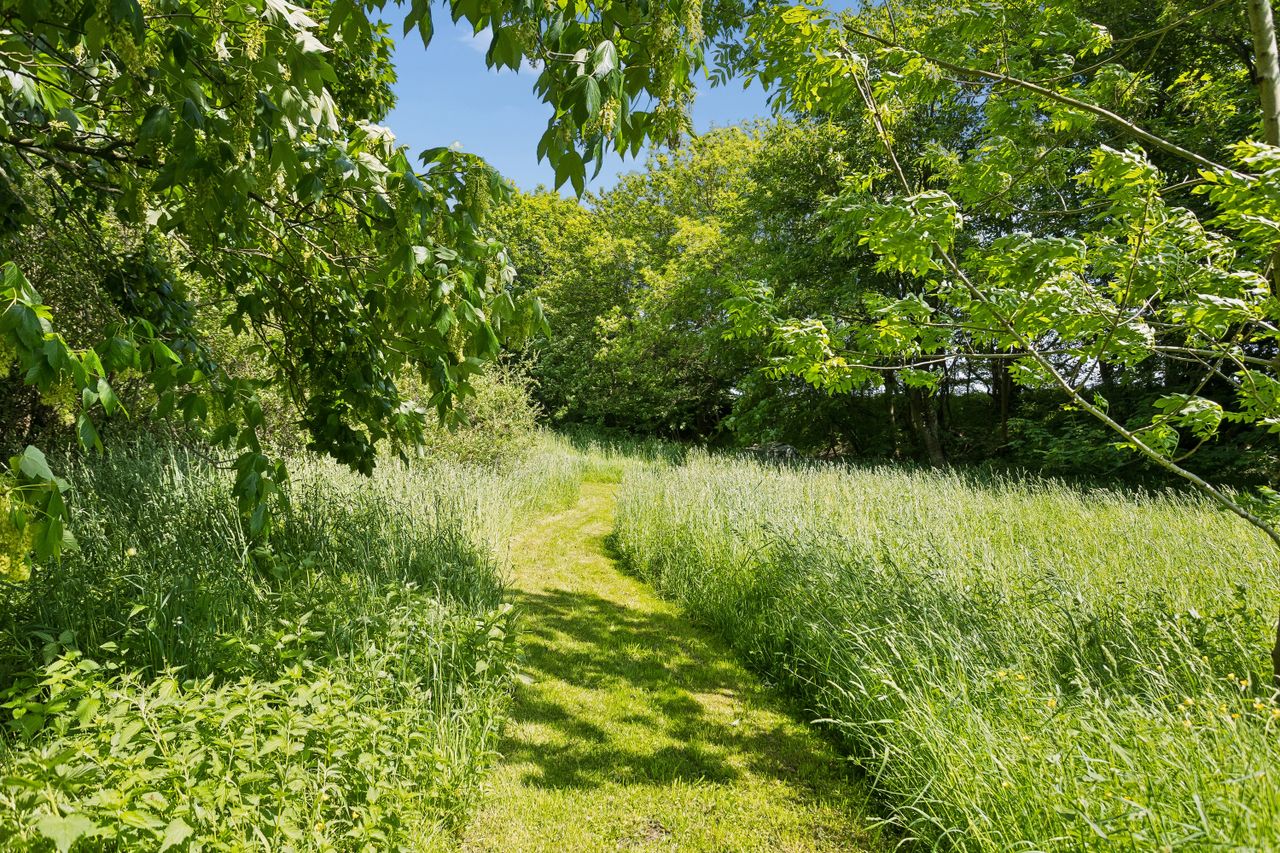 image 04