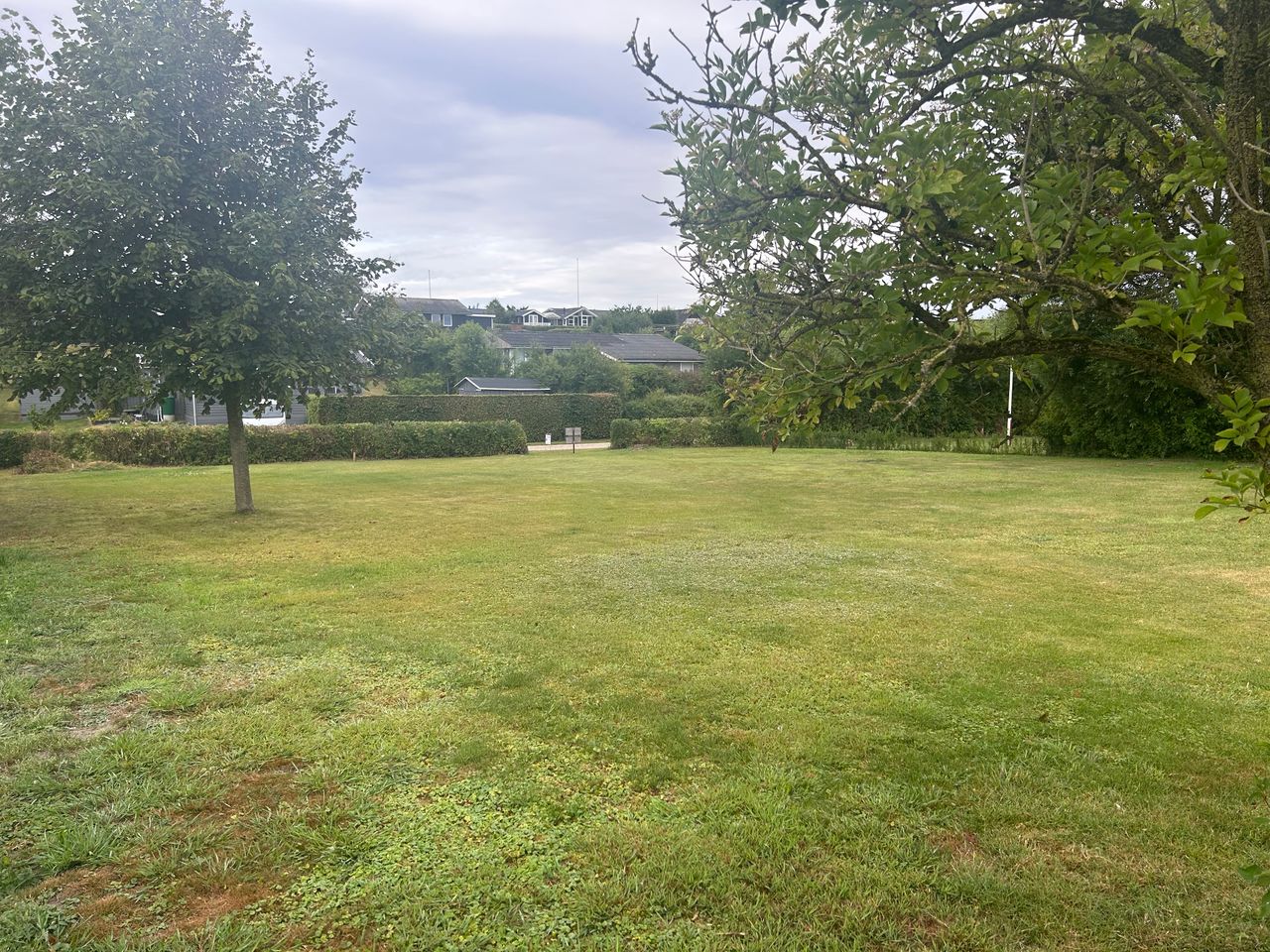 image 02